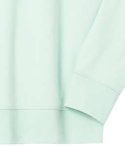 Hombres Sudadera Logotipo Personalizado Cuello Redondo Terry Bordado Pesado Terry Algodón Cuello Redondo Suéter Mujeres Hombres Con Impresión En Relieve - Product Image 6