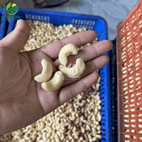 Premium Biologische Gedroogde Cashewnoten Uit Vietnam Redelijk Geprijsd Groothandel Notenproduct
