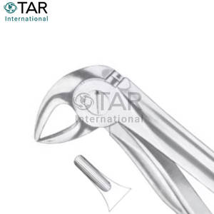 มะเดื่อ33L คีมถอนฟันขนาดต่างๆขายส่งราคาจำนวนมาก - Product Image 5