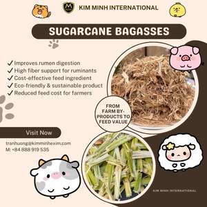 Bagasses de canne à sucre de haute qualité pour combustible biomasse, alimentation animale et usage industriel - Product Image 1