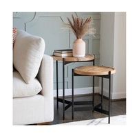 Ensemble de tables gigognes modernes en métal, finition texturée brillante, structure durable offrant un attrait luxueux pour les intérieurs élégants, café