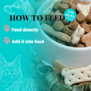 Suplemento de calcio Oem para perros y gatos, alta digestibilidad, algas marinas islandesas limpias puras, calcio sin plomo y hormonas, probado en laboratorio - Product Image 5