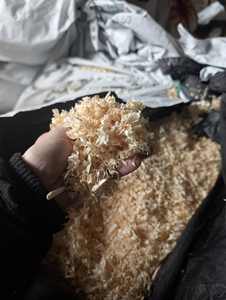 Biomasa de aserrín y energía a bajo costo disponible - Product Image 3