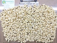 HANFIMEX gedroogde cashewnoten WW240 TOPKWALITEIT voor groothandel Kathryn 0084327324400