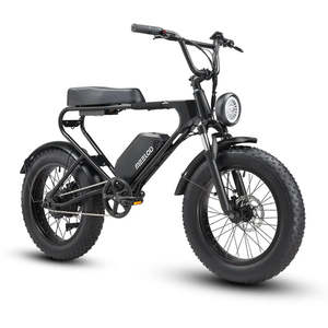 Bicicleta Eléctrica Estilo Ciclomotor de Nivel Básico MEELOD DK200 - Product Image 2