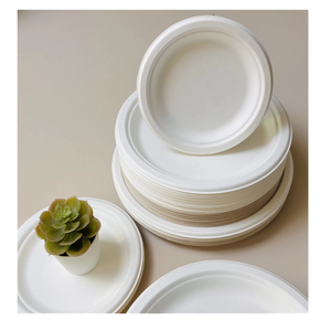 Assiettes jetables en papier biodégradables et compostables en bagasse de canne à sucre Eco White de 10 pouces, lot de 100 - Product Image 1
