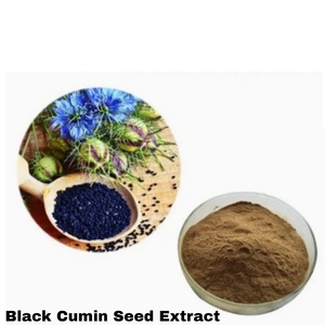 Fornecimento Fabricante Nigella Sativa Extrato 5% 10% Thymoquinone Preto Cominho Semente Extrato Em Pó - Product Image 4