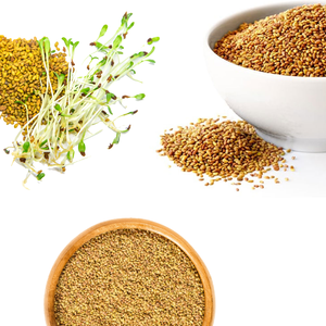 หญ้าชนิต | โซลูชั่นการให้อาหารสีเขียวสำหรับฟาร์มที่ทันสมัย - Product Image 2