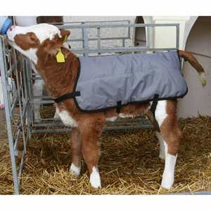 Meilleure qualité 70cm Super Deluxe Instrument vétérinaire manteau pour veaux haute imperméable vache ferme couverture respirant mollet veste - Product Image 4