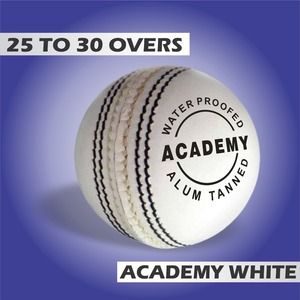 Academy Best Quality White Cricket Balls International Standard 6 Pack ALUM Tannd Leather 156gm-160gm Entretenimiento deportivo - Product Image 5