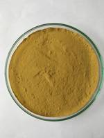 Ekstrak Daun Senna 40% Alami Murni Kelas Makanan Bubuk Ekstrak Herbal Budidaya Liar untuk Grosir Massal Harga Terbaik