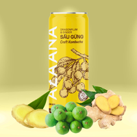 Kombucha Haute Qualité Sau Fruits Et Gingembre Boissons Saines Emballage Personnalisé Non Alcoolisé Fabricant Vietnamien