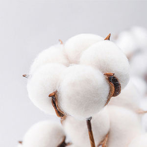 T-shirt 100% coton personnalisé OEM Marque privée |   T-shirt vierge 220 g/m² avec étiquettes au col |   Fabricant de vêtements de rue avec impression de logo - Product Image 4