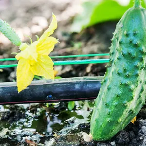 Harga pipa irigasi tetes dalam dripper dalam garis tabung bulat sayuran kebun kebun pertanian 1 lembar