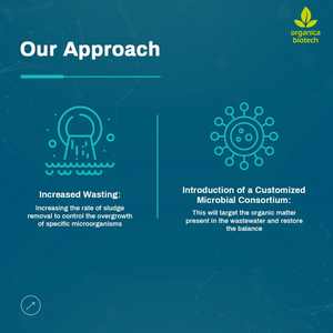 Biotreatment Of Industrial Effluents - Product Image 5