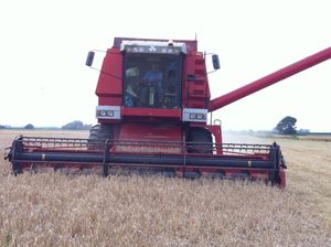 Cosechadora de arroz Massey Ferguson 22 - Product Image 2