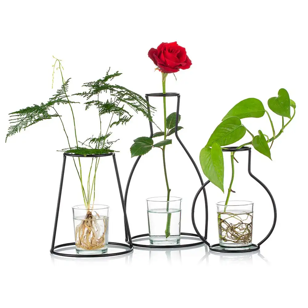 Modern Indoor Outdoor Garden Decorative Metal Wire Bottles shape With Glass Flower Vase Home Decoration Pots Iron With Stand