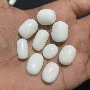 Corail blanc 100% corail blanc japonais naturel - Product Image 4