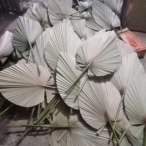 Colgante de pared de hoja de palma natural seca, la mejor artesanía de decoración para el hogar de Vietnam - Product Image 4