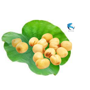 เมล็ดบัวเวียดนาม ขนมพร้อมทาน หวานกรอบ/ เมล็ดบัว 100% ธรรมชาติ/ เมล็ดบัวอบกรอบรสชีส/ ขายส่ง - Product Image 1