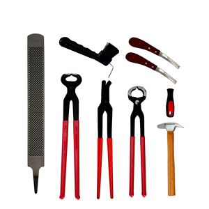 Le kit professionnel de soins du sabot de cheval de haute qualité comprend des pinces à sabot tondeuses marteau couteau fichier brosse Instrument vétérinaire pour - Product Image 2