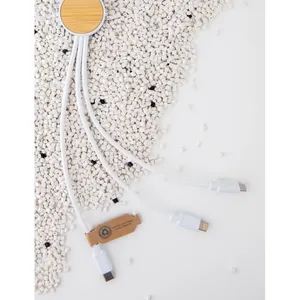 Gadget USB Promozionale Sostenibile 6-in-1 con Cavo Riciclato Ontario - Product Image 2