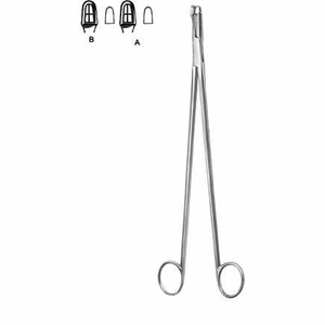 Ginología - Product Image 6