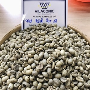 Grains de café vert Robusta Ecran poli humide S13 S16 S18 en sac de jute-JANE LEE + 84968234538 - Product Image 3