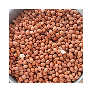 Lot d'exportation de cacahuètes, matière première : grains nettoyés à la machine ; utilisation : marques de snacks et torréfaction ; origine : Vietnam, longue durée - Product Image 3