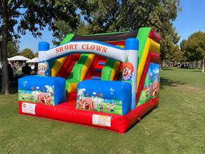 Parque Infantil Inflable Profesional 5x4x4 m – Tobogán Inflable de PVC – Uso Profesional en Interiores/Exteriores – Cumple con las Normas de la UE - Product Image 1