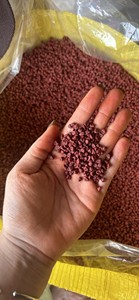 Semillas de Annatto al por Mayor al Mejor Precio, Semillas de Achiote para Tinte Natural y Agente Saborizante, Ingrediente de Grado Alimenticio - Product Image 2