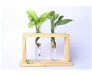 Vase en verre et bois moderne de haute qualité avec une finition naturelle élégante, dernière arrivée, utilisation décorative sur table - Product Image 1