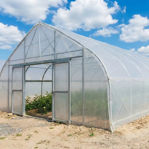 Invernadero de Túnel Resistente para la Producción de Bayas y Flores con Transmitancia de Luz Optimizada y Estructura Resistente al Viento - Product Image 6