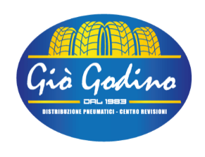 GIOGODINO Srl logo
