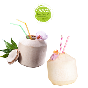 สัญลักษณ์ของมะพร้าวปอกเปลือกเพชรในการเฉลิมฉลองเวียดนาม - Product Image 3