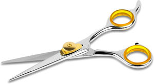 Venta caliente Tijeras de peluquero 6,5 "Tijeras de pelo 440c Acero inoxidable japonés - Product Image 2