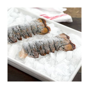 Colas de Langosta Congeladas de Alta Calidad, Provenientes de Fábrica, Proceso de Congelación BQF, 12 Meses de Vida Útil, Disponibles para Demanda a Granel Continua - Product Image 5