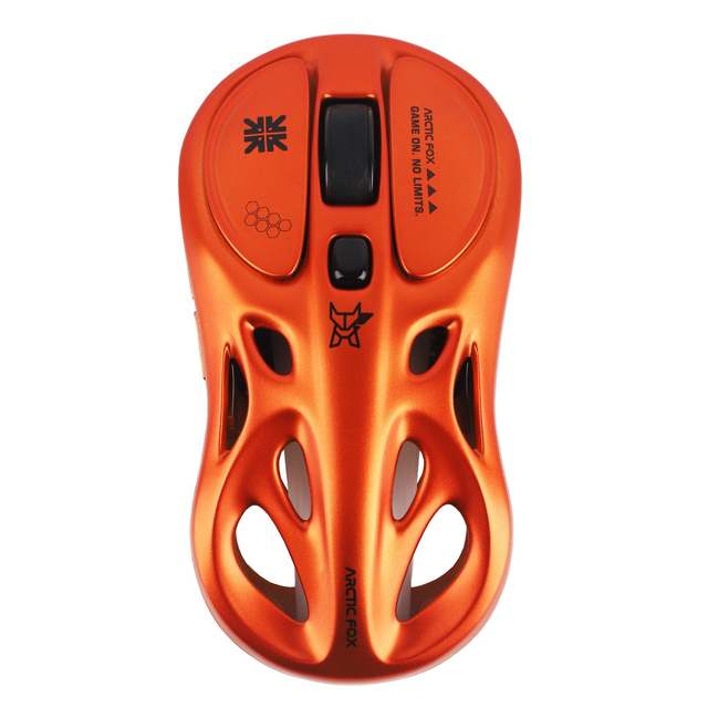 Arctic Fox Ergonomic RGB Backlit 1000Hz Programmable Optical Sensor 5 Buttons Gaming Mouse Right Hand Orientation USB 2.4GHz