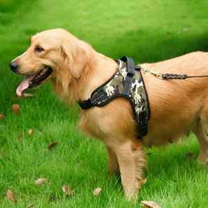 Imbracatura di Lusso in Nylon e Poliestere per Cani di Piccola Taglia, Traspirante e Personalizzabile per Uso Esterno e Sportivo, Taglie S M L XL - Product Image 4