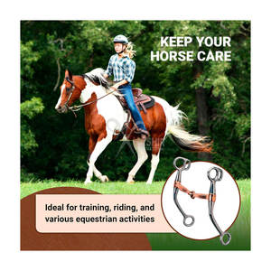 Bocado de Montura Western para Caballo, 5 Pulgadas, Cromado, de Acero Inoxidable Resistente al Óxido, Reutilizable, para Entrenamiento - HASHIR INTERNATIONAL - Product Image 4
