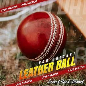 ลูกคริกเก็ตคุณภาพสูง ทำจากหนังแท้นุ่ม แกนคอร์ก ขนาด 135-145 ซม. เย็บมือ คืนตัวได้ดี รับผลิตตามสั่ง (OEM) ขายส่ง - Product Image 4