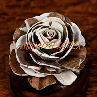 Fleur de Sola faite à la main Sola Wood Flower Fleur faite à la main avec différentes tailles et design Echo Friendly pour la décoration de tous les temps