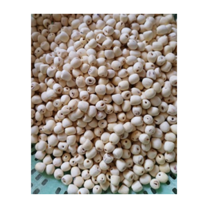 Vente en gros de graines de lotus premium Vietnam, coeurs de lotus séchés naturels parfaits pour la nourriture, le thé de sommeil et l'exportation dans le monde entier - Product Image 5