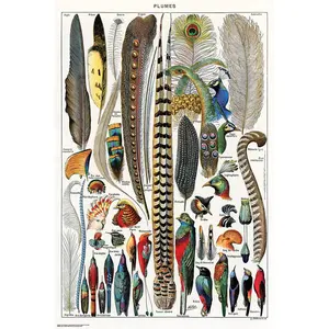 Póster de plumas de Adolphe Millot para decoración de pared - Product Image 1