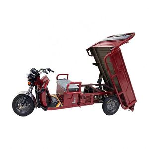 High Quality Tricycle Three Wheel 900Mm Dumper 8X4 Dongfeng Truck 9 Cargo Van for Rent Electric Motorcycle - Product Image 2