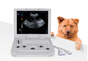 Échographe Doppler numérique portable avec écran LCD haute résolution de 15,6 pouces, certifié CE, outil de diagnostic vétérinaire pour chiens - Product Image 3