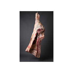 เนื้อหลังเนื้อแช่แข็งคุณภาพส่งออกสำหรับอุตสาหกรรมบริการอาหาร - Product Image 1