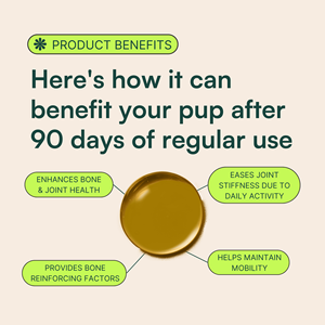 USMILE Suplementos para el cuidado de la salud de mascotas Advanced Joint Liquid Hip and Joint Supplies Suplementos para perros y vitaminas Comida para perros - Product Image 3