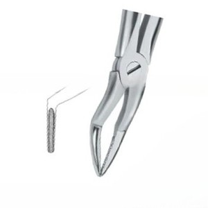 Forceps d'extraction de dents Fig.51 A Diam Instruments dentaires en acier inoxydable de haute qualité avec logo personnalisé de haute qualité - Product Image 5