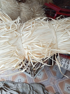 Feuilles de palmier Corypha Lecomtei du Vietnam, matière première pour la fabrication d'artisanat - Product Image 4